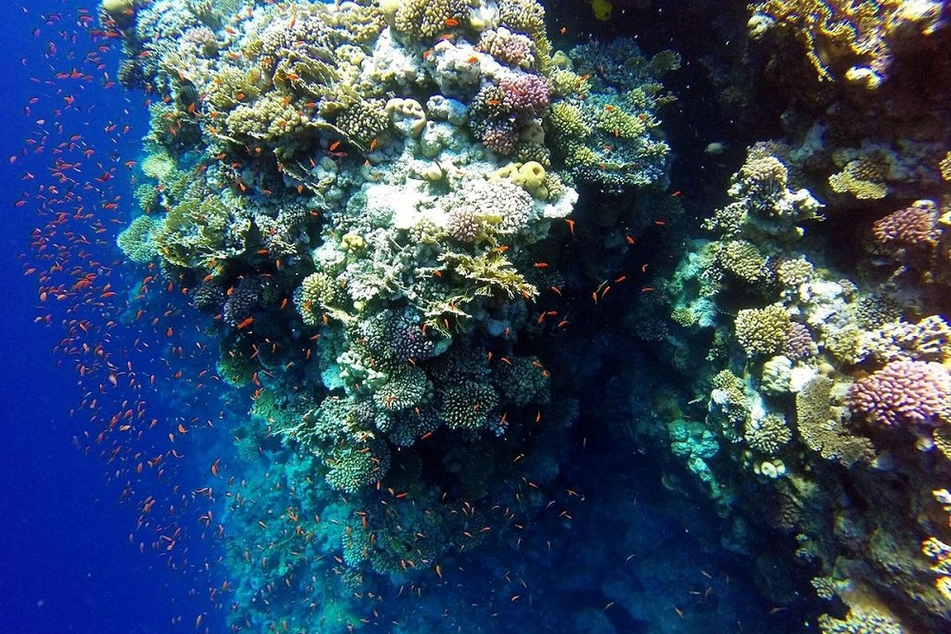 Sharm El Sheikh Turu Türk Havayolları İle